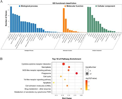 A Go Enrichment Analysis Biological Process Molecular Function And