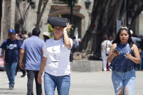 Se Registran Altas Temperaturas En Oaxaca Diario Marca