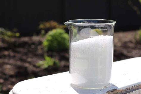 Epsom salt for plants 🌱 Good or bad for the garden?