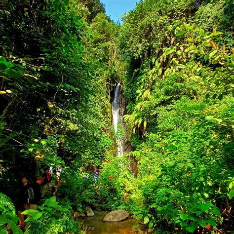 Keindahan Alam Kampung Wisata Ciwaluh Kampung Ekowisata Ciwaluh