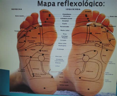 Taller de Reflexología podal TerapiasparalaSaluds Blog