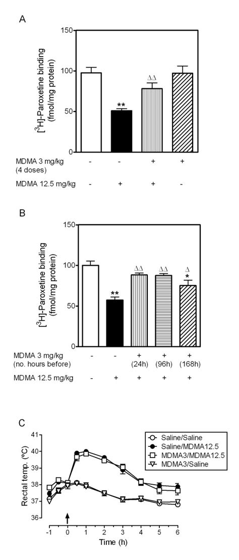 Effect Of Pretreament With Low Dose Mdma Mg Kg I P On Mdma