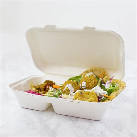 Bagasse Clamshell Containers 2 Compartment Yashtech