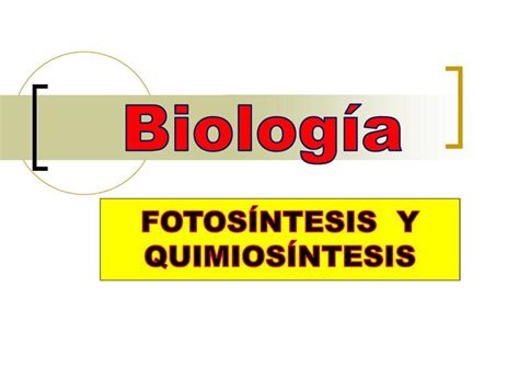 Fotosíntesis y Quimiosíntesis Tiroxina Med uDocz