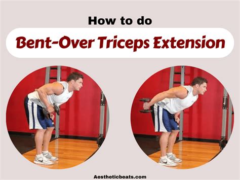 Bent Over Triceps Extension Triceps Exercise Aestheticbeats