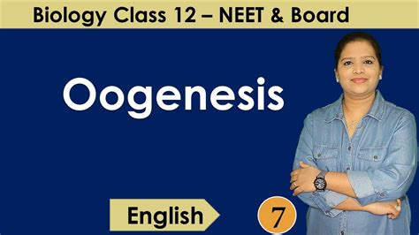 Oogenesis Human Reproduction NCERT Class 12 Biology YouTube