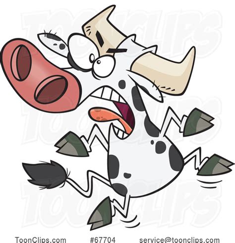 Cartoon Angry Bovine Having A Cow 67704 By Ron Leishman