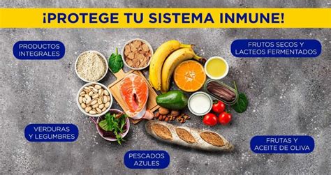 Sistema Inmune Como Fortalecerlo A Traves De La Alimentación Apus