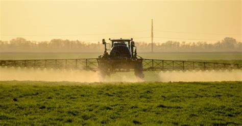 Glyphosate Corinne Lepage dépose un recours contre lÉtat