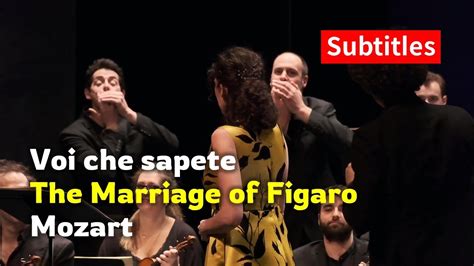 Mozart Opera The Marriage Of Figaro K Voi Che Sapete