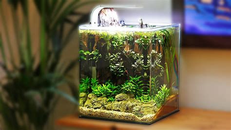 Nano Tank Aquascape Blog Aquascape