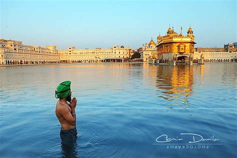 Golden Temple In Amritsar Punjab India Cosmin Danila Photography