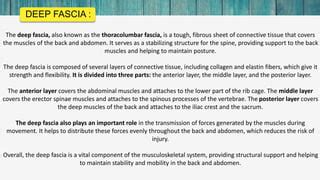 Anatomy chap 2 deep fascia.pptx