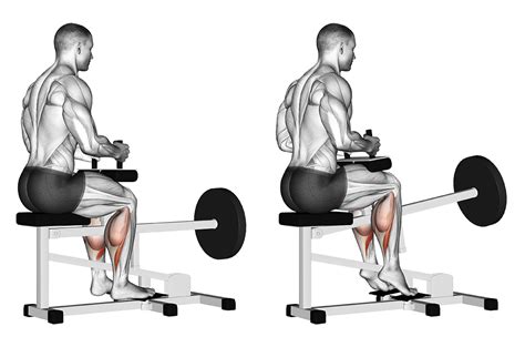 Best Calf Raise Variations With Pictures Inspire Us