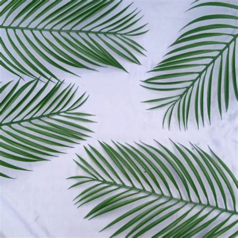 Jual Daun Palm Plastik Daun Palem Plastik Daun Plastik Daun