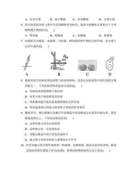 第7章 植物和微生物的生殖与发育 综合素质评价（含答案） 21世纪教育网