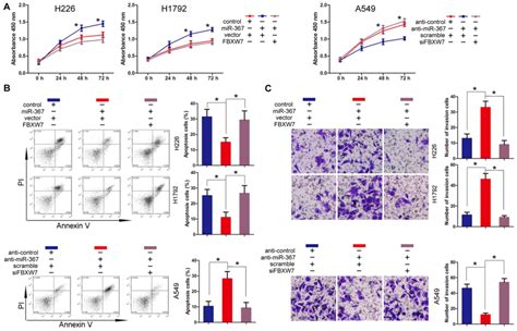 MiR 367 Promotes The Proliferation And Invasion Of Non Small Cell Lung