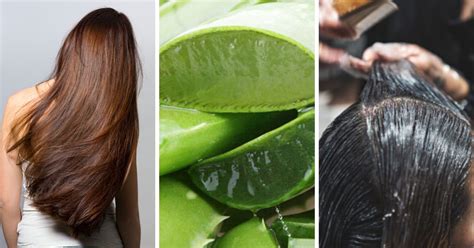 Cómo usar el aloe vera en el cabello Salud180