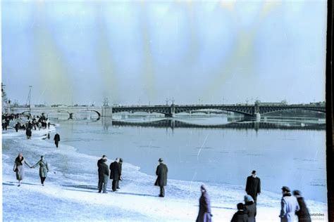Зимний Ленинград 1966 года: humus — LiveJournal