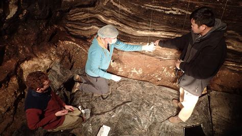 Dna From Sediment Reveals Epic History Of Denisova Cave The National