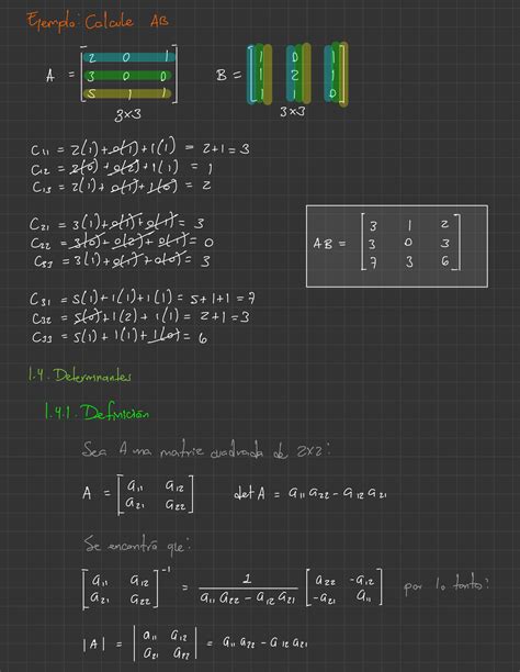 Solution Determinantes De Una Matriz Y Me Todo De Sarrus Studypool