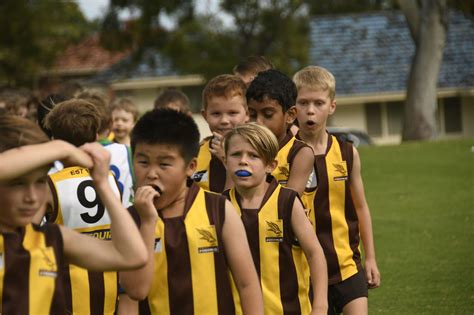 Team In Focus Archives Ampjfc Hawks