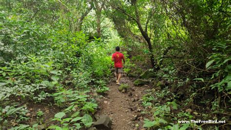 Nanemachi Waterfall Trek ️the Most Beautiful Waterfall Ive Seen