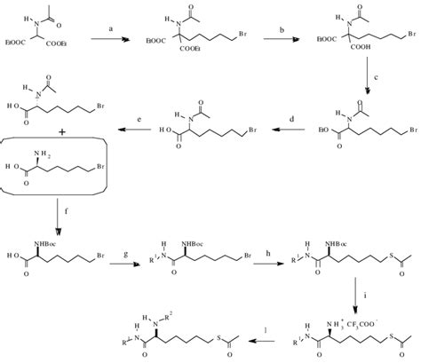 Scheme 1 Reagents And Conditions A 1 Etoh Etona Reflux 30 Min Download Scientific