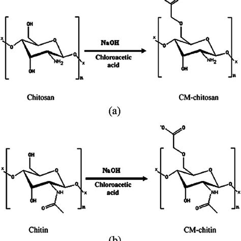 Chemical structure of oligosaccharides. (a) Chitooligosaccharides... | Download Scientific Diagram