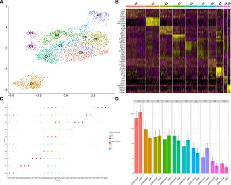 Frontiers Synergistic Effect Of Cd47 Blockade In Combination With