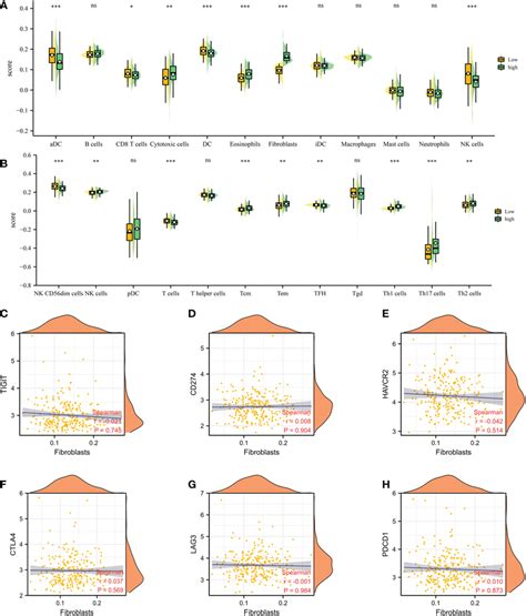 A B The Immune Cell Infiltration Analysis Between Low And High Cafs