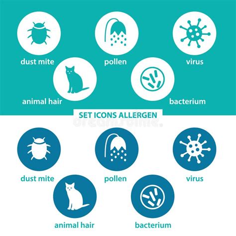 Set Allergen Icons Stock Illustrations 1265 Set Allergen Icons Stock