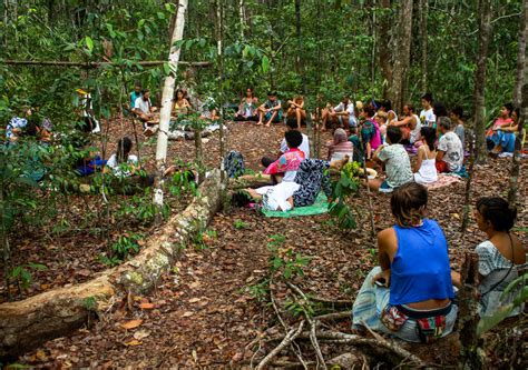 Ecovila Piracanga Comunidade Sustent Vel No Sul Da Bahia