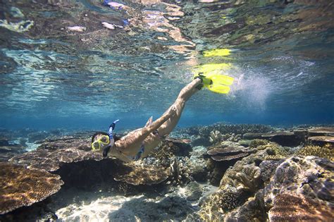 Tioman Dive Resort On Tioman Island In Malaysia By Bandj Diving Diving