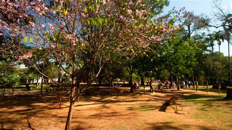 Parque Severo Gomes - Parque Municipal Severo Gomes completa 35 anos | Grupo Sul News