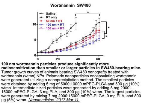 Apexbio Wortmannin Pi K Inhibitor Selective And Irreversible Cas