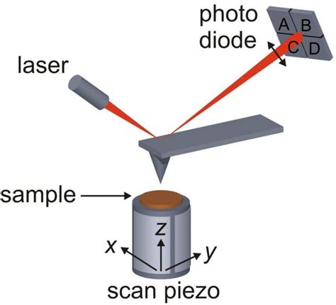 2 Schematic Illustrating The General Working Principle Of A Typical Afm