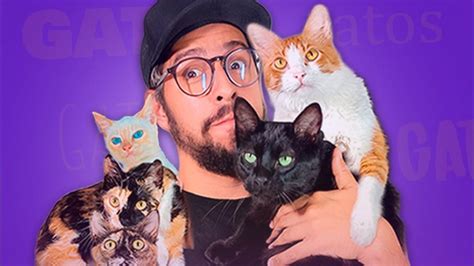 O Pai dos Gatos André Assunção em Curitiba Evento ON