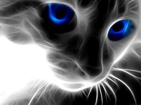 🔥 [50+] Black Kitten Wallpapers | WallpaperSafari