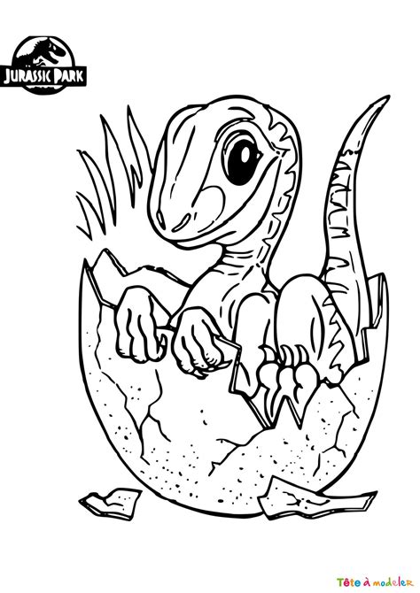 Coloriage D Un Bébé Dinosaure Dans Jurassic World Avec Tête à Modeler