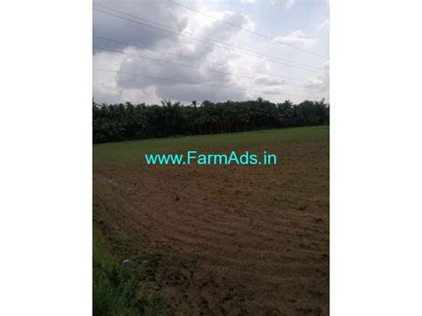 8 5 Acres Agricultural Land For Sale In Palakkad Alathur Palakkad