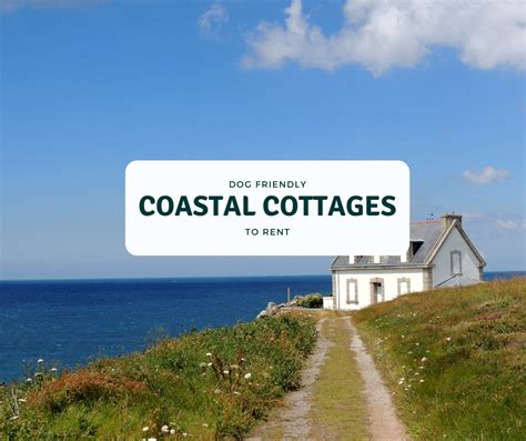 Best Dog Friendly Coastal Cottages UK - (20 Beach Holidays)