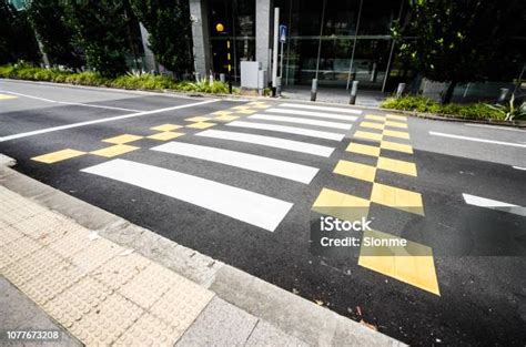 Penyeberangan Dan Pejalan Kaki Di Kota Modern Zebra Menyeberang Jalan