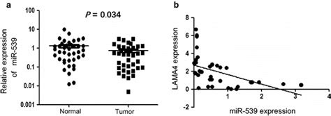 MiR 539 Was Decreased In TNBC Tissues And Has An Inverse Correlation