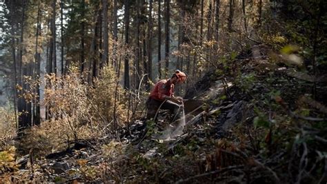 B C Wildfires Evacuation Orders Continue To Drop