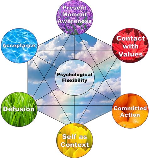 The Multidimensional Psychological Flexibility Inventory Mpfi