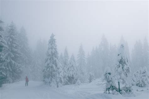 People Walking Together Outdoors · Free Stock Photo