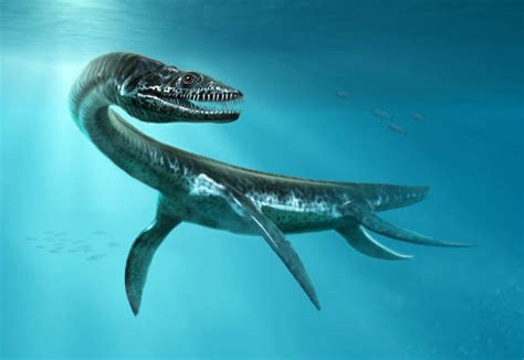 Sea Dinosaur Stock Photos, Pictures & Royalty-Free Images - iStock