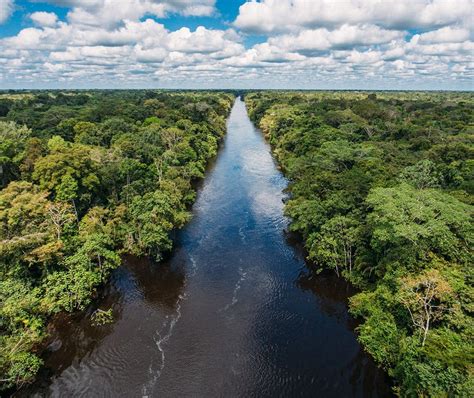 Amazon River Cruises Explore Peru Via The Amazon Landed Travel