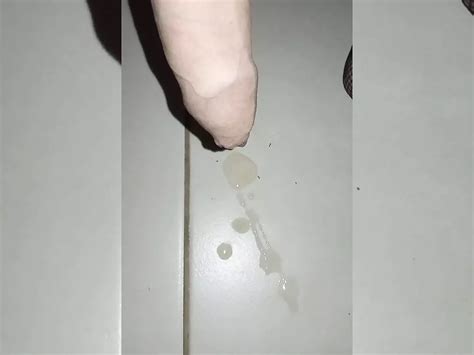 Newest Big Cock Shemale Porn Videos Xhamster